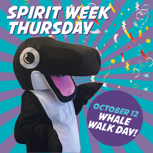 spirit week Thursday whale walk new shirt graphic